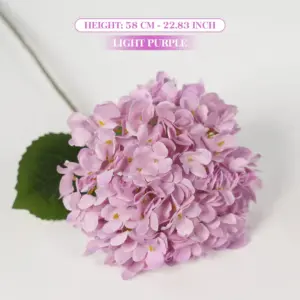 Sccd54587d36e475d84930f0460ad2be2s 3