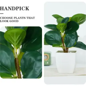 Scd108ff41ebb45c0be34a328aa9ed7d8c