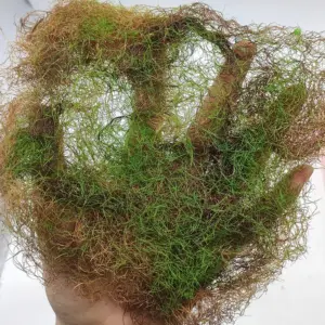 Realistic Miniature Hay Scene Model in 12 Colors 14 Scff5cbd8a8204d188c97d5b398731e01X