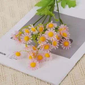 Sd0f5e9f19bd24f999fae21887b4dc856r