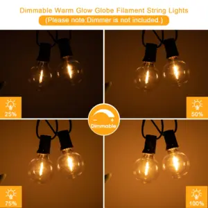 Sd2fa05f13bdd40e7a3dce95a857cfac7f 1