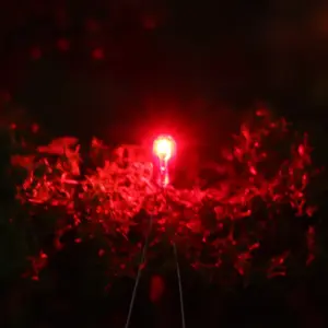 Sd44360528e2e48fcb5c4ea25505c8acaU