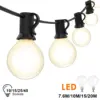 G40 Frosted LED Outdoor String Lights 7.6M