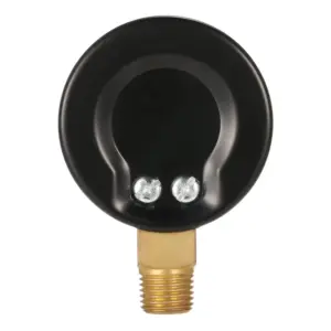 Pool Water Pressure Gauge 50mm Dual-Scale 10 Sd45b2c83f9404b9bad17484f0d6033c7n