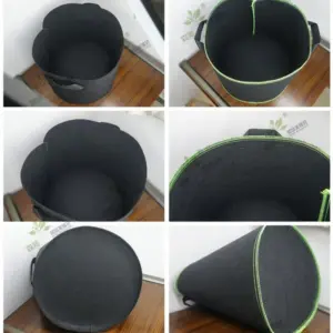 Sd46944a4ffc34be48e7e1820781fe21dA