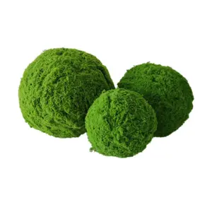 Sd46a38a1349041b89aa7a3d8e8860bb4n