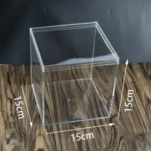 Clear Acrylic Jewelry Storage Box 14 Sd49cc2e2c6ce4d74ba5cd19c142bf742p