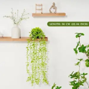 Sd4a2788429d04ef394309d52584e68066