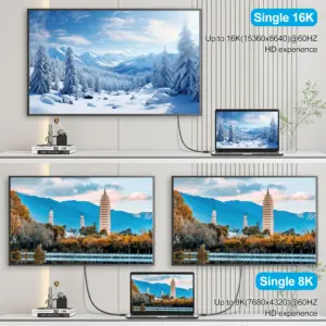 Sd4c7ef97a85c44e1885fad5b78ababaev