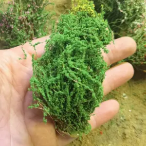 Sd552274b5f5943c8b492f030e12c635f5