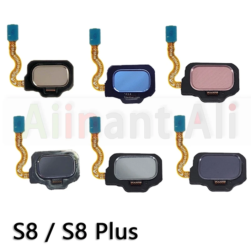 Samsung Galaxy S8 & S9 Flex Cable with Touch ID 2 Samsung Galaxy S8 & S9 Flex Cable with Touch ID - Image 2