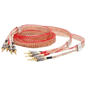 Sd844f88ea3644b23918049faaf493bceo