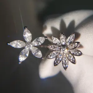 Sd8ac30fc54d84f62b9ef4c2300d037e7E