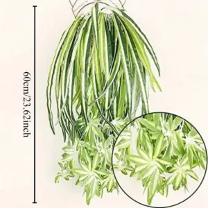 Sd8f592e1b4384020941ee64001884cbaQ