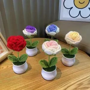 Handwoven Mini Potted Flower Set in Colorful Crochets 13 Sdb1538728512444ca4ebd15106b27f67O
