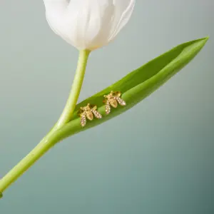 Sdbaf650e74914104b2b11b2847a5c7da5