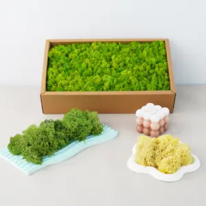 Sdc0c31824f964b8492969bb1102cf576f