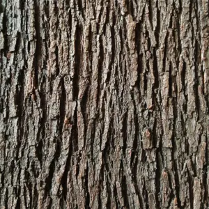 Sdc96f43ef4714dbc87a9be32a5f563e8h