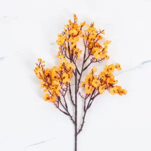 Sdd37fe7b9c0b4c32878440b9185f51cax