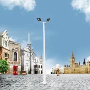 Sdd65c68955c84459b8abef05c9f5b8a3X