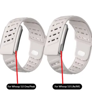 Sde8dedfe26dc432d9345ac8c5cfbd759z