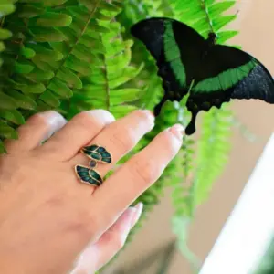 Sdfcf52acab964093ac7eb55d65d68fa9s