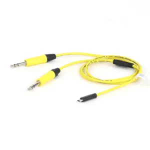 USB-C to Dual 6.35mm Stereo Audio Splitter Cable 11 Sdfd31c206299423195cbb3ac02a27b26H
