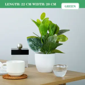 Se01917abbee14ac9b3a98013befbae2fQ