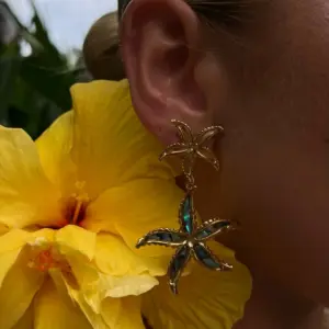 Stainless Steel Gold Bohemian Earrings 10 Se0e80f065bb34dd2aafe4d658f1931a9Z