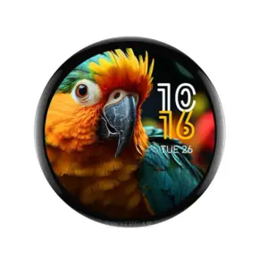 ESP32-S3 Touch AMOLED Development Board 14 Se21f208f639e44998a4fbc71e97c8b944