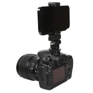 Se264bf38c4b2472fb9f1c2c925fdfa16Q