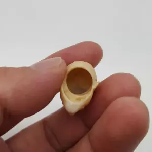 Se33e54384d084955a15846b26b3e584fy