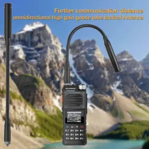 Se45f180cc26b4943962f3f7e3a9d74dcp