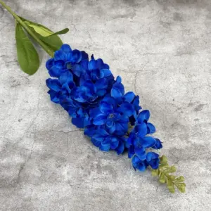 Se50723587ef048e29ccc6bb7d6609965g