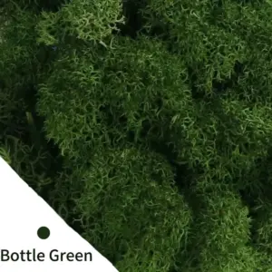 Se6aa5923470245d78f9c013811c7549fu 2