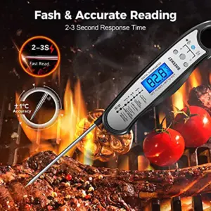 Digital Kitchen Thermometer with Dual Probes 11 Se6f6a531858c4b568269e0c6d3815680n