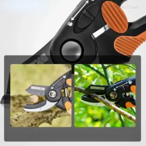 Se78c3984a6094444869d5cfba46479a1w