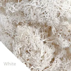 Se880eec3f9ab4aac9bcceaf4e2122aadc 8