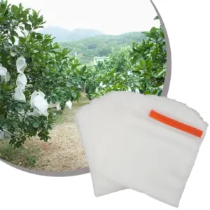 Sea3256fa1ca448cf82d16480c61217a1d