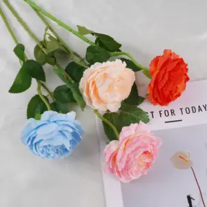 Sea99ee15c4f649b0aca3f50a72379dbbV