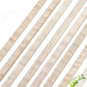 Seb6ef58c41a14f9aa1373d397b6a1517d