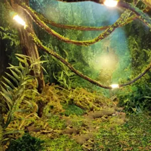 Sed75b78a32ed472abc41c31eb9452592c