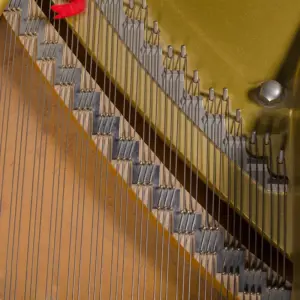 Sed8d03a9b686468fa6f7f6798ffa2efdI