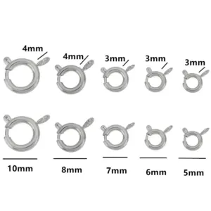 Stainless Steel & Gold Spring Clasp Set for Jewelry 13 Sedd82fedd3ad4ba197e8e634a4f1a901v