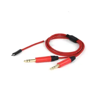 USB-C to Dual 6.35mm Stereo Audio Splitter Cable 18 See57ff72f16b44cca605d02f40ab05f3W