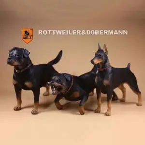 Realistic Rottweiler Model by Mr.Z 9 Seea12ddcbfa94e53ba96a554ccbb9ab0m