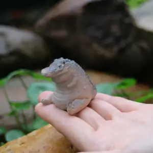 Sef2a4bf568694586940fecd93dca7aed3