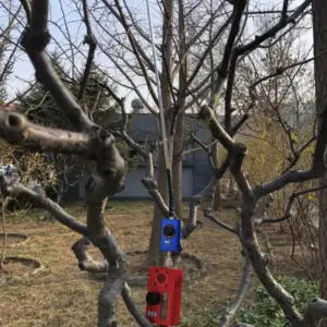 Sef4ded4b688144e297caa7f9b2c0b7e50