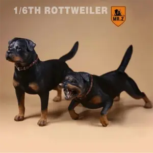 Realistic Rottweiler Model by Mr.Z 8 Sf00eb811e5ec40beabfacb9c87472028y