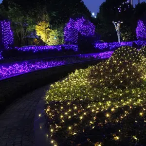 Sf095a45e296d437ea55c2a2778e53494b